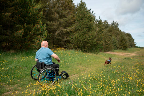 istock Playing Fetch With My Dog in the Park 1332296976