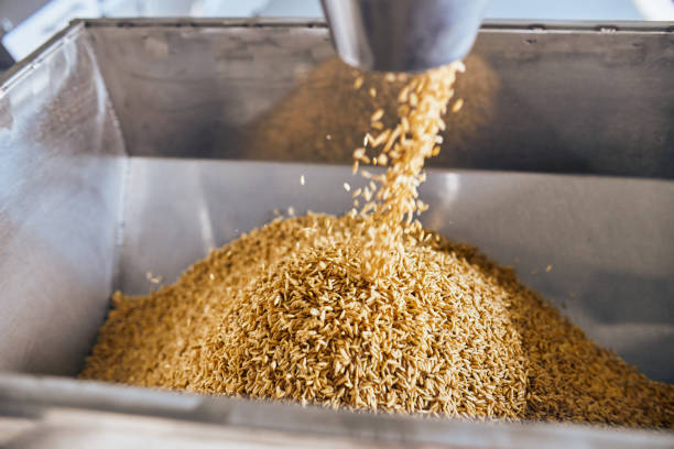 istock Filling containers with fresh grains on the factory 1332298309
