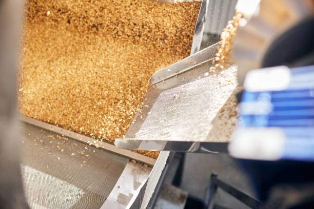 istock Golden wheat grains sorting and drying in the machine 1332298400