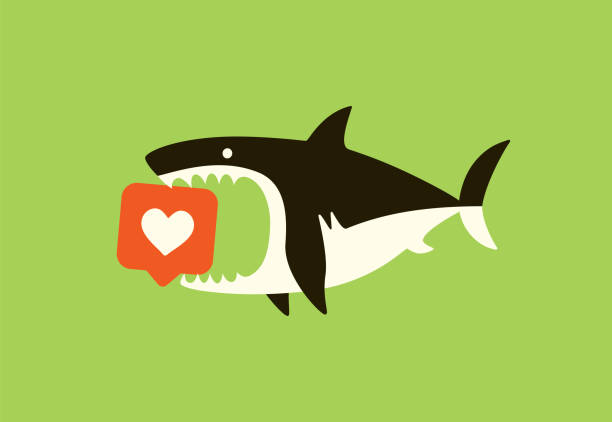 злая акула кусается, как икона - animal act stock illustrations