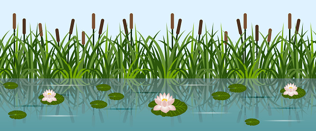 Pond with lotus water lilies and grass reeds. Lake water, leaves and lotus flowers, river reeds. Seamless background, flat cartoon style, vector illustration