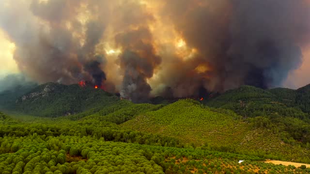 Forest fires in Turkey.