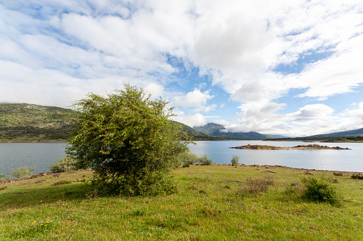Landscape of a small island in a lake with a tree in the foreground and mountains in the background, Mediterranean forest and scrub