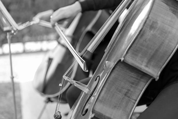 istock string duo putting music to the wedding ceremony 1332303603