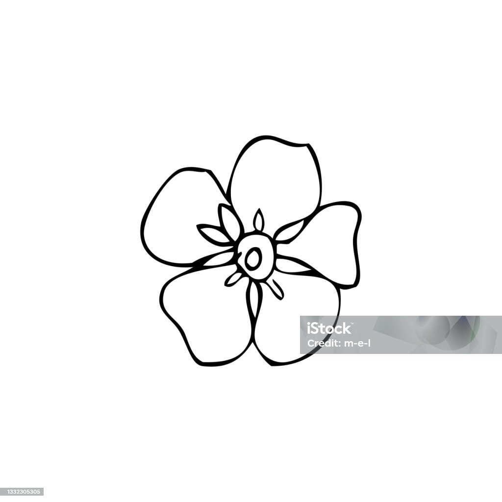 Forget-me-not flower vector illustration isolated on white background, ink sketch, decorative herbal doodle, line art style for design medicine, wedding invitation, greeting card, floral cosmetic Forget-me-not flower vector illustration isolated on white background, ink sketch, decorative herbal doodle, line art style for design medicine, wedding invitation, greeting card, floral cosmetics Forget-Me-Not stock vector