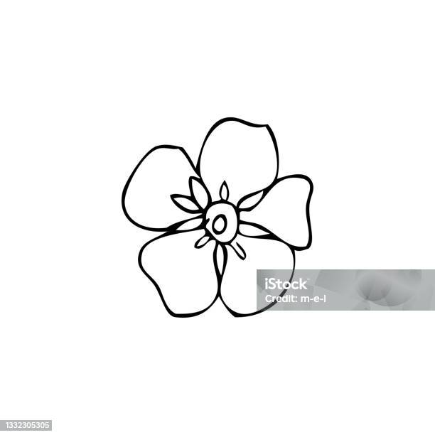 Forgetmenot Flower Vector Illustration Isolated On White Background Ink Sketch Decorative Herbal Doodle Line Art Style For Design Medicine Wedding Invitation Greeting Card Floral Cosmetic Stock Illustration - Download Image Now