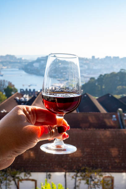 degustação de diferentes vinhos fortificados de sobremesa, vinhos do porto tawny em taças com vista para o rio douro, lojas do porto de vila nova de gaia e cidade do porto, portugal - wine port - fotografias e filmes do acervo