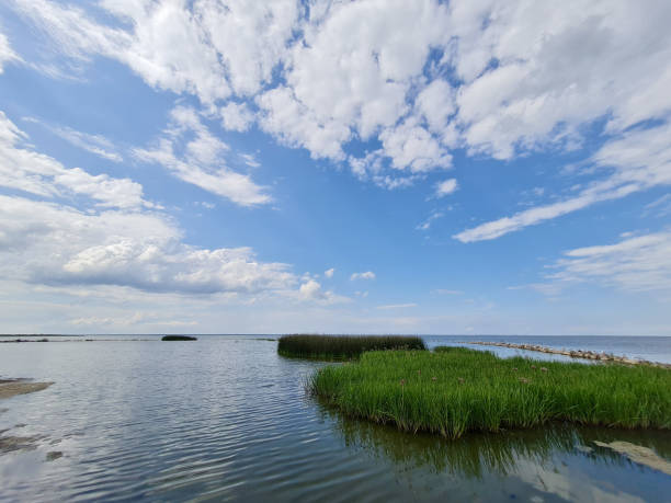 istock coast of gulf 1332308885