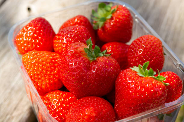 istock Red ripe Dutch strawberry, new harvest, ready to eat 1332309721