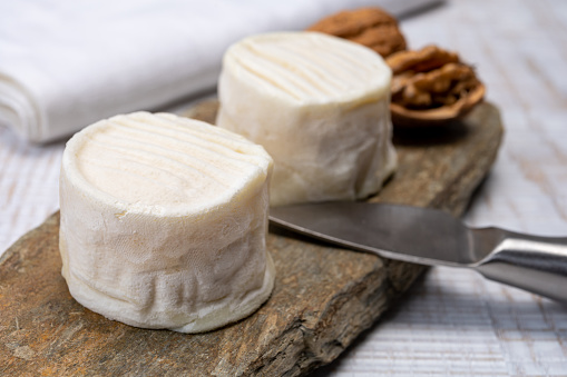 Cheese collection, soft goat French cheese with mold crottin de Chavignol produced in Loire Valley close up