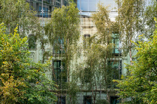old house behind a modern glass facade with trees in foreground