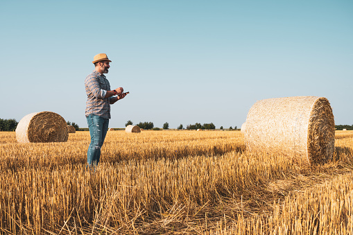 Happy farmer is standing beside bales of hay. He is examining straw after successful harvesting.