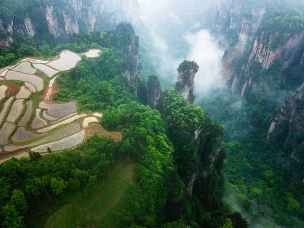 Aerial view of Zhangjiajie National Park，Farmland is built on top of a mountain。 Aerial view of Zhangjiajie National Park，Farmland is built on top of a mountain。 zhangjiajie stock pictures, royalty-free photos & images