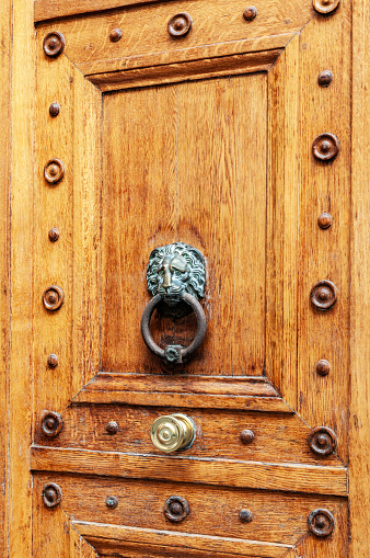 Beautiful wooden door, with a lion knocker, in Paris.