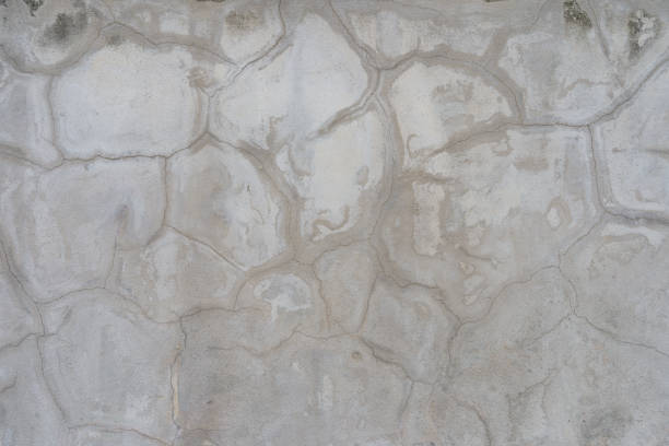 istock The old whitewashed surface had a pattern similar to that of a map. 1332314265