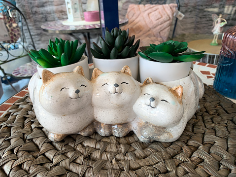 Cute cat animal planter pot for succulents. Ceramic cat planter. Flower pot with three cats and mini plants.