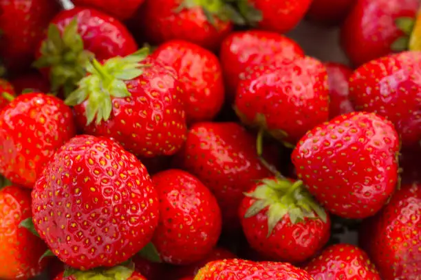 Fresh red ripe organic strawberry background. Healthy vegan food.
