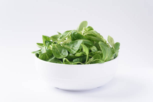 istock Fresh corn salad leaves on a white background. 1332320367