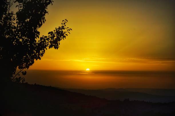 istock Sunset moment with golden colored background 1332321900