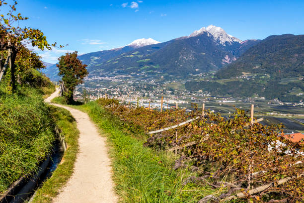 istock Orchards in the mountains at Merano, Italy. 1332323172