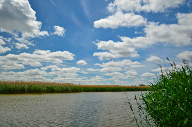 istock Rural lake in early 1332323953