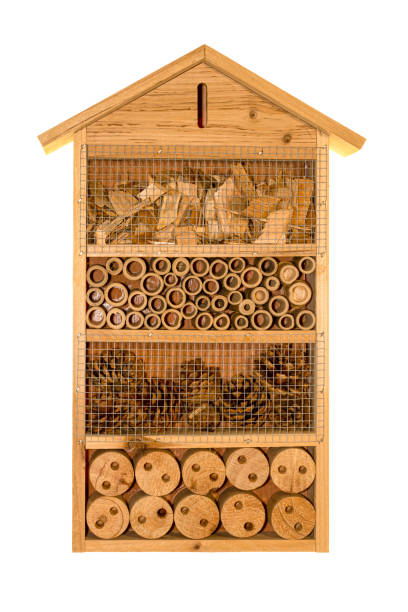 istock Hotel or shelter for insects. 1332325355