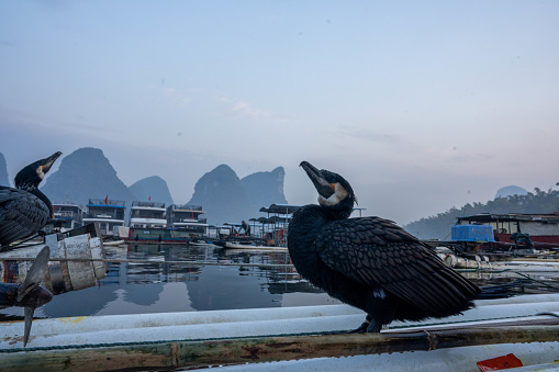 Lijiang, Guilin City in the morning