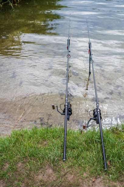 istock Fishing rods on the lakeshore 1332334449