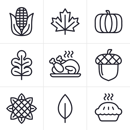 Thanksgiving fall autumn line icons and symbols.