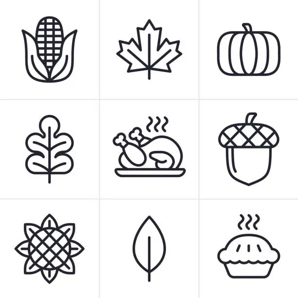 Vector illustration of Autumn Thanksgiving Line Icon Symbols