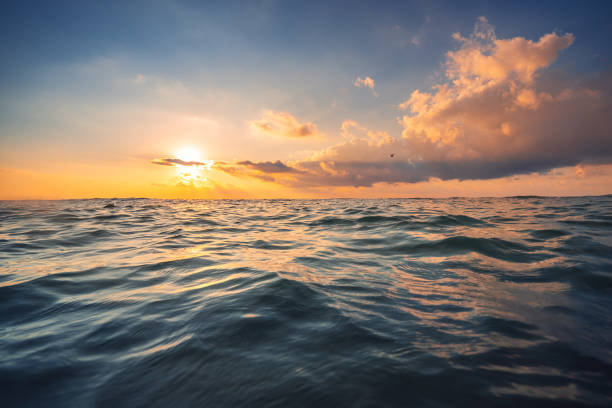 istock Sea wave close up, low angle view, sunrise over the horizon 1332335515