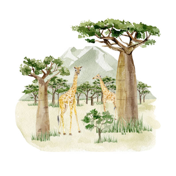 akwarela savannah dzikie zwierzę ilustracja. kompozycja krajobrazu afryki z drzewami, żyrafą i zieloną górą. druk ścienny. wystrój przedszkola dla dzieci. - giraffe pattern africa animal stock illustrations