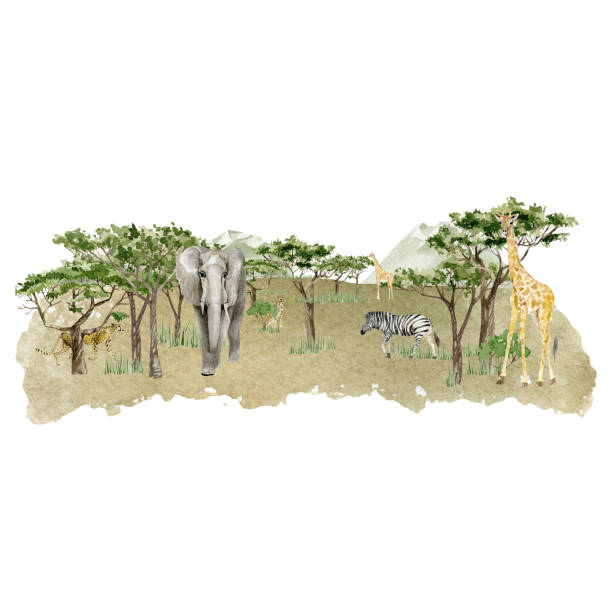 akwarela savannah dzikie zwierzę ilustracja. kompozycja krajobrazu afryki z drzewami, słoniem, żyrafą, zebrą, lampartem i zieloną górą. druk ścienny. wystrój przedszkola dla dzieci. - giraffe pattern africa animal stock illustrations