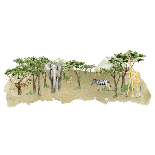 istock Watercolor Savannah Wild Animal illustration. Landscape africa composition with trees, elephant, giraffe, zebra, leopard and green mountain. Wall art print. Nursery baby decor. 1332336990