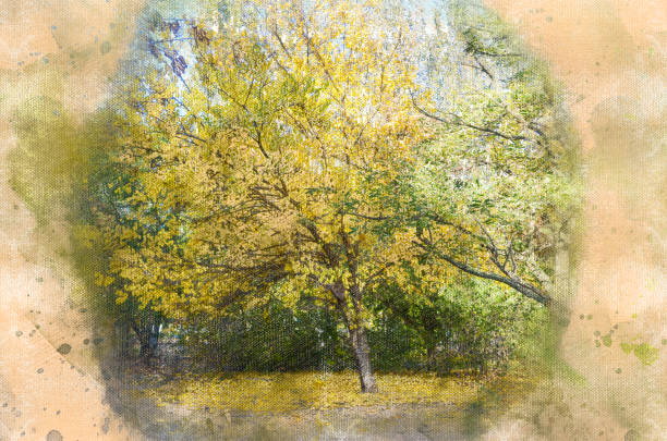 istock Digital watercolor painting of a lone tree with falling yellow l 1332337130