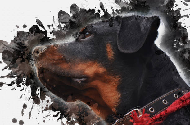 Big Dog With Red Collar Illustrations, Royalty-Free Vector Graphics & Clip  Art - iStock