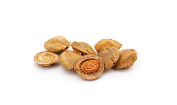 groupe des amandes d’abricot. - abricot photos et images de collection