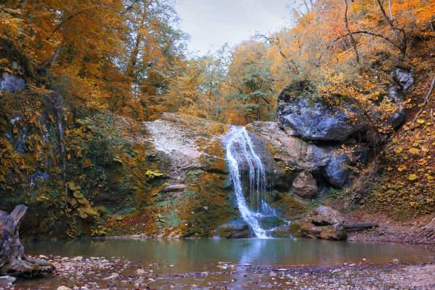 istock Forest waterfall in the Adygea Republic, Russia 1332345806