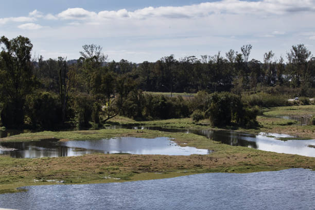 istock lakes formed by the Tiete River in its floodplain, surrounded by vegetation characteristic of the region. 1332346949