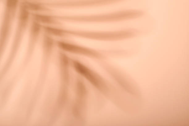 istock Abstract shadow on table top and gold wall background. Blurred backdrop with copy space. Summer sea concept. 1332348656