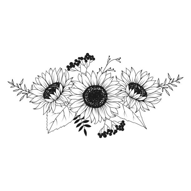 ÐÑÐ½Ð¾Ð²Ð½ÑÐµ RGB Sunflower hand drawn floral bouquet on white background helianthus stock illustrations