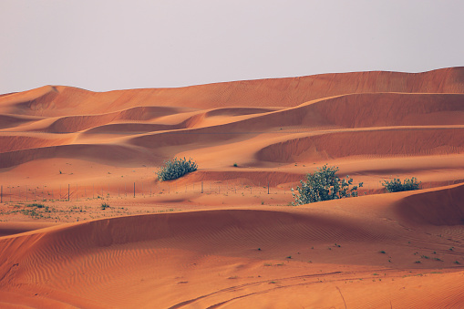 The Desert in Ras al Khaimah, United Arab Emirates, Asia