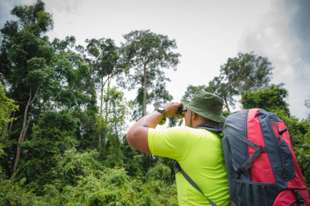 Bird Watching Pictures | Download Free Images on Unsplash