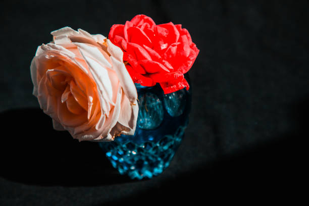 istock A beautiful bunch of flowers 1332354556