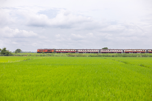 Old thai train in landscape behind rice field in province of Phitsanulok. Somewhere north in northwest as part of northern railway line between Phitsanulok - Sukothai - Chiang Mai. Train. Field is in south of Phitsanulok in subdistrict Bang Krathum