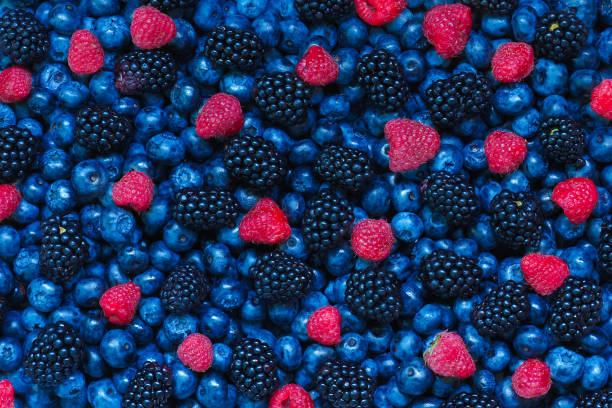 istock Wild berries background, blueberries, blackberries, raspberries, top view. Fruit pattern from colorful wild berries 1332354910