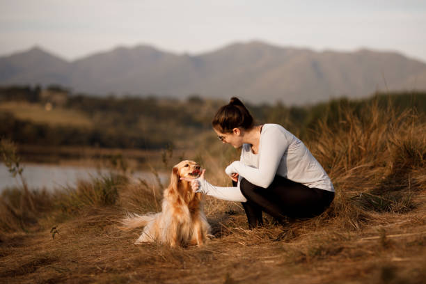 istock Pet owner playing with her dog 1332356191