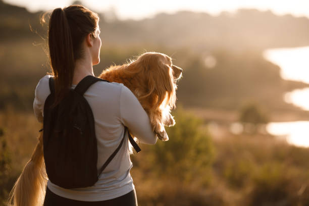 istock Woman holding her dog watching sunset 1332356236