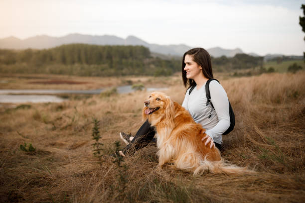 istock Dog sitting next to its owner and looking at the camera 1332356338
