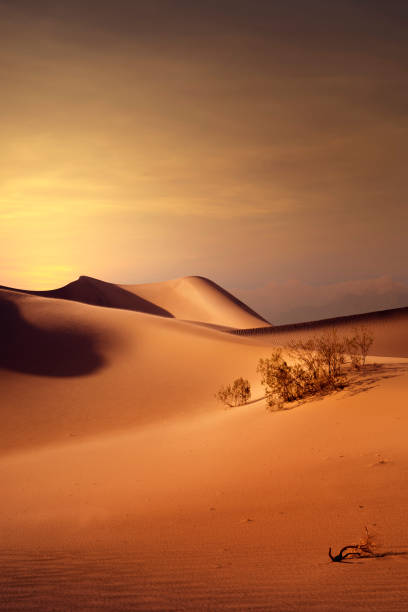 sunset dunes stock photo